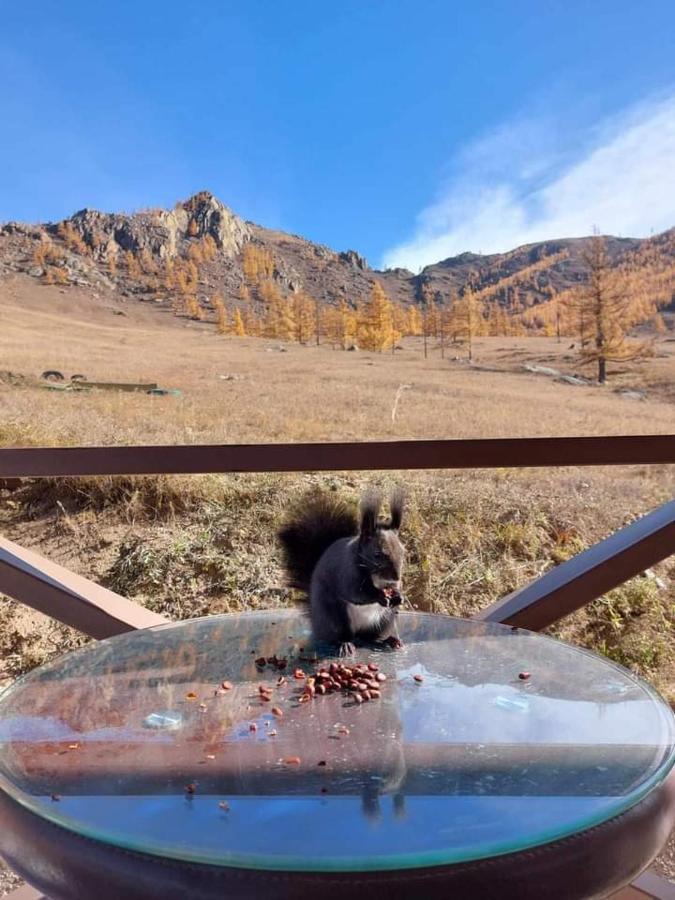 Apache Eco Camp, Terelj Nationalpark Mongolia Ξενοδοχείο Bayan Bulagiin Hural Εξωτερικό φωτογραφία